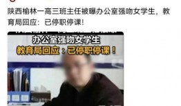 南阳高三爆料事件最新,揭秘校园内幕，真相背后引关注
